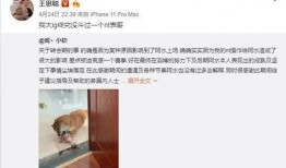 表哥最新爆料新闻事件