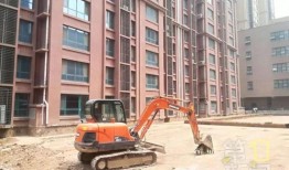 西安雁塔区最新爆料,揭秘区域发展新动态与亮点