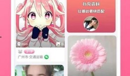 小米14最全爆料视频下载