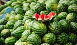 猎奇网红吃瓜网站,揭秘娱乐圈幕后真相，带你领略网络奇观！