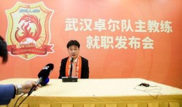 武汉卓尔爆料最新消息,揭秘球队备战新赛季的幕后故事