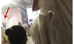 嘴哥最新爆料结婚视频,甜蜜瞬间见证爱情升华