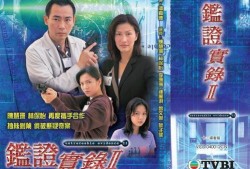 鉴证实录2全集在线观看,全集在线观看，揭秘古董鉴宝传奇