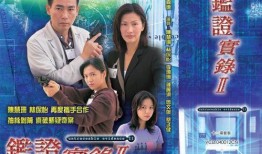 鉴证实录2全集在线观看,全集在线观看，揭秘古董鉴宝传奇