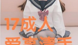 成人在线观看在线播放,成人在线观看与播放的全新体验