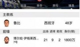 武汉卓尔爆料最新消息,揭秘球队备战新赛季的幕后故事