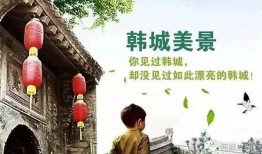 谷哨村爆料人是谁啊视频,视频背后的真相揭晓