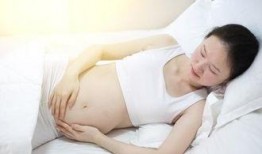 脐在线观看511,揭秘神秘数字背后的故事