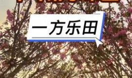 广东肇庆今日头条爆料,突发！肇庆市区发生重大事件，详情即将揭晓