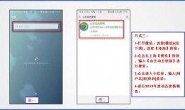 最新动态爆料小程序,小程序爆火背后的秘密与趋势