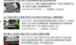 老司机爆料退税视频,老司机亲述退税视频背后的秘密