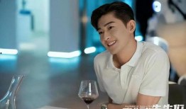 王晓晨爆料张翰视频,真相背后引人深思