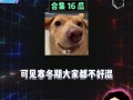 456娱乐八卦吃瓜,揭秘娱乐圈最新吃瓜事件