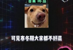 456娱乐八卦吃瓜,揭秘娱乐圈最新吃瓜事件
