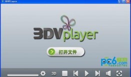 player在线观看,在线观看的沉浸体验之旅