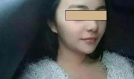 成人在线观看在线播放,成人在线观看与播放的全新体验