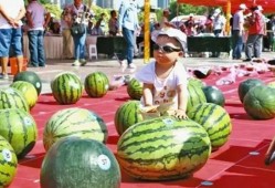 猎奇网红吃瓜网站,揭秘娱乐圈幕后真相，带你领略网络奇观！