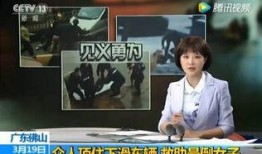 女子爆料佛山新闻事件,揭开新闻事件背后惊人真相