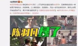 斥罪爆料视频怎么处理好,深度解析事件背后真相