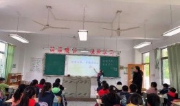 南京小学爆料新闻报道,揭秘校园内幕，关注学生权益与教育质量