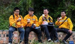 捕风者在线观看,揭秘神秘力量，探寻未知世界的冒险之旅