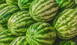 浩白免费吃瓜,揭秘娱乐圈幕后真相