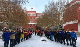 南京小学爆料新闻报道,揭秘校园内幕，关注学生权益与教育质量