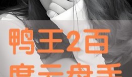 鸭王粤语手机在线观看,重温经典粤语喜剧的视听盛宴