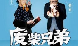 废柴兄弟2在线观看免费,笑料横生，兄弟情深再续前缘