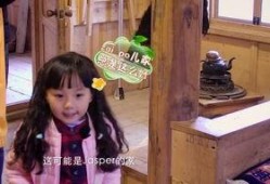 嫂子去哪儿在线观看,揭秘神秘旅程，共度温馨时光
