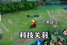 兔年新皮肤爆料视频最新,揭秘国风元素与独特设计