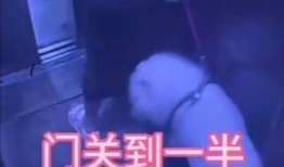 新闻爆料乐清打死人视频,悲剧瞬间引发社会关注