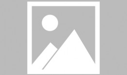 小米14最全爆料视频下载