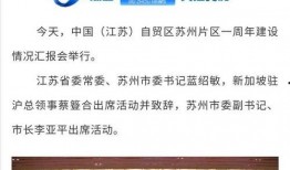 苏州新闻最新爆料,揭秘某神秘项目背后真相