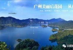 从化爆料消息最新