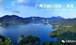 从化爆料消息最新