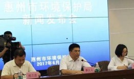 惠州环保局最新爆料,揭秘环保整治背后的真相与挑战