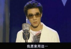 吃瓜网红王力宏是谁啊百度百科,吃瓜网红背后的音乐才子