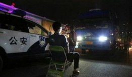 绿色椅子在在线观看,在线观看，探索心灵深处的情感之旅