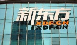 中国新东方最新爆料,中国教育巨头最新动态与未来展望