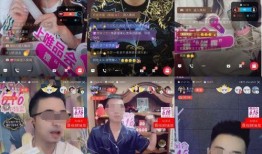 主播带货翻车爆料新闻,揭秘直播带货背后的风险与真相