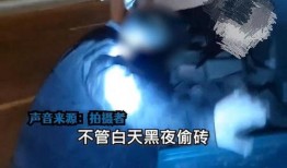 日料博主爆料视频大全最新,视频大全背后的美食奥秘