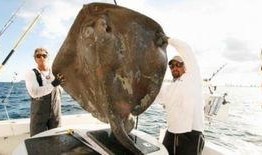 美国海怪最新爆料,美国海怪最新爆料揭秘深海奥秘