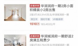 深圳江先生最新爆料,揭秘事件背后惊人真相