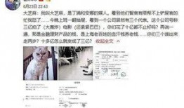 爆料范冰冰近况视频最新,生活低调，事业新动向引关注