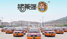 广州驾校爆料新闻报道,揭露行业潜规则，学员权益受损引关注