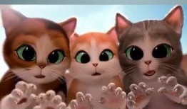 去大猫电影网在线观看,去大猫电影网，在线观影新体验