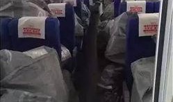 南京快递车厢爆料事件视频,惊人内幕曝光！