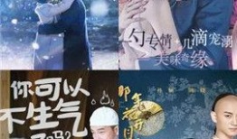 去大猫电影网在线观看,去大猫电影网，在线观影新体验