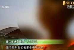 廉江今日爆料,揭秘今日热点事件